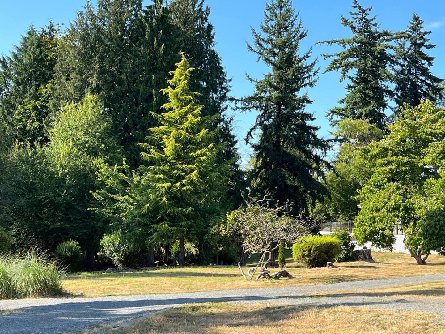 Modern Studio In Marysville A Forest Haven Exterior photo